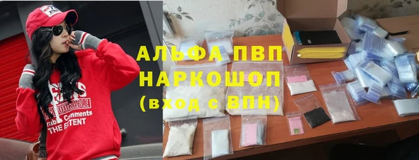 скорость Новозыбков