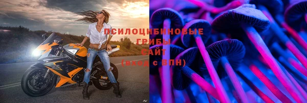 a pvp Новокубанск
