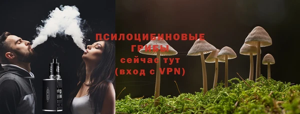 apvp Новодвинск