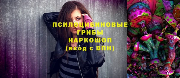 скорость Новозыбков