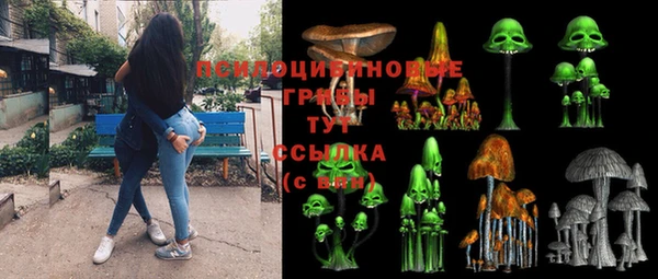скорость Новозыбков