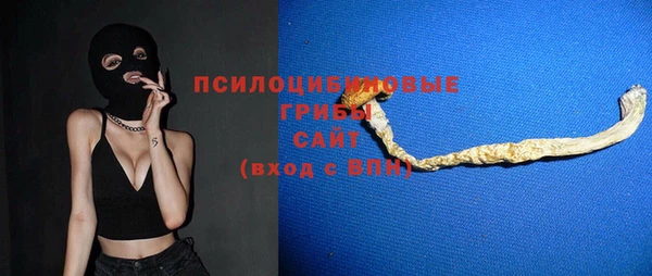 скорость Новозыбков