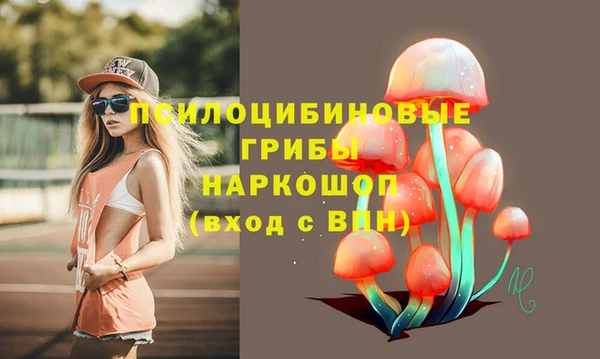 a pvp Новокубанск