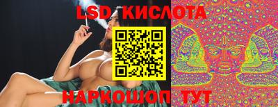 гашик Донской