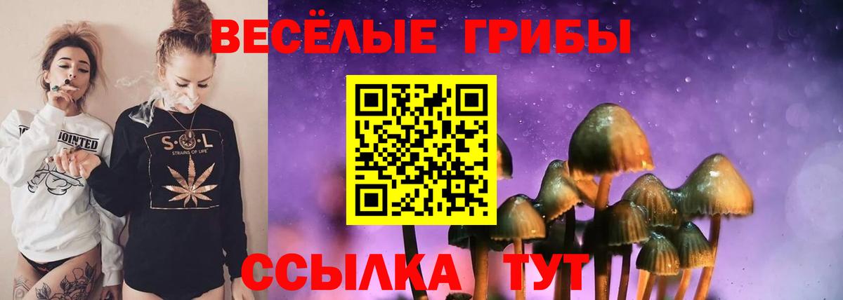 Переславль-Залесский  Галлюциногенные грибы ЛСД  Вход с VPN 