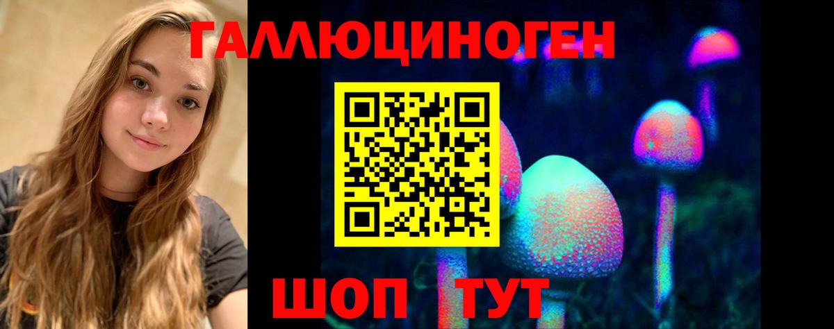 Галлюциногенные грибы Cubensis Переславль-Залесский